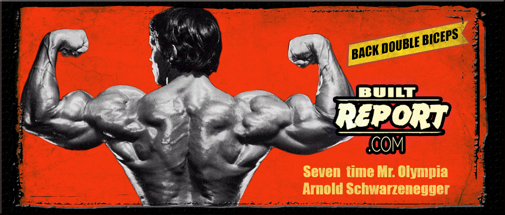 arnold-back-double-biceps-banner