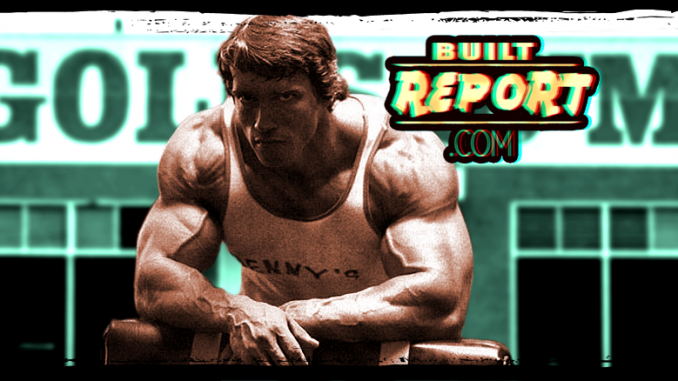 Built Report arnold resting at golds gym