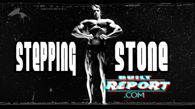 Built Report Arnold Schwarzenegger Stepping Stone