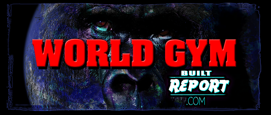 World Gym Banner