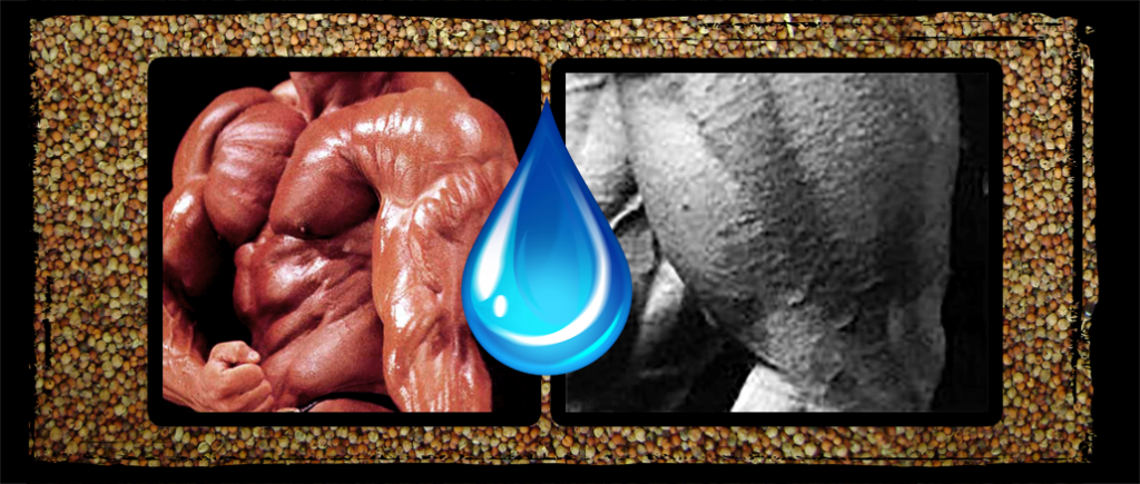 Grainy Dorian Yates Andreas Munzer